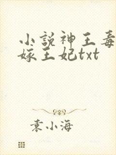 小说神王毒宠二嫁王妃txt