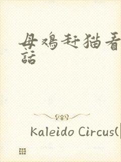 母鸡赶猫看图写话