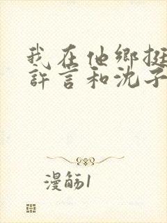 我在他乡挺好的许言和沈子畅结局封面