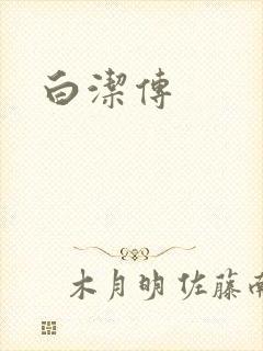 白洁传封面
