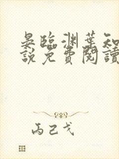 晏临渊叶知薇小说免费阅读封面