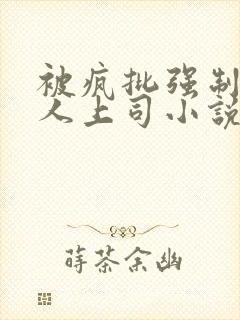 被疯批强制的美人上司小说免费阅读