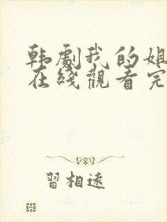 韩剧我的姐姐2在线观看完整版封面