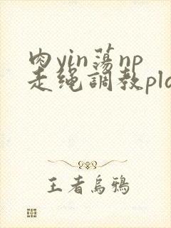 肉yin荡np走绳调教play