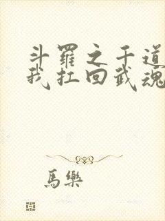 斗罗之千道流把我扛回武魂殿