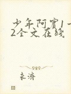 少年阿宾1一72全文在线