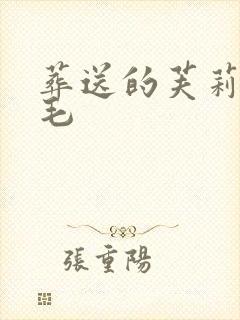 葬送的芙莉莲绿毛封面