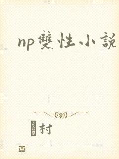 np双性小说h