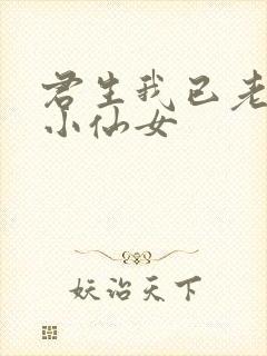 君生我已老有声小仙女