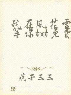 我在风花雪月里等你txt免费下载