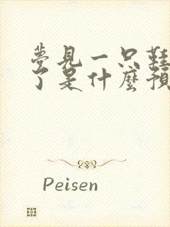 梦见一只鞋子丢了是什么预兆封面
