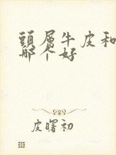 头层牛皮和皮革哪个好封面