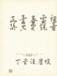 正青春电视剧全集免费观看陈哲远封面