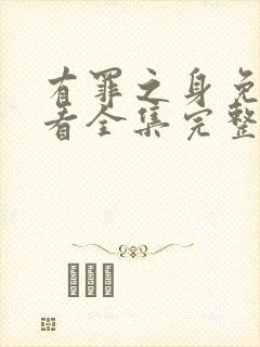 有罪之身免费观看全集完整版高清