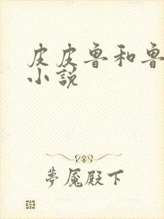 皮皮鲁和鲁西西小说