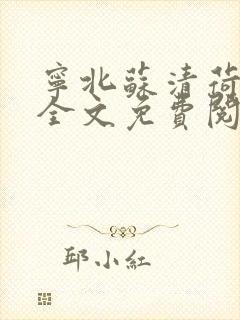 宁北苏清荷小说全文免费阅读