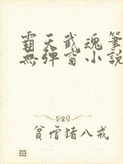 霸天武魂笔趣阁无弹窗小说