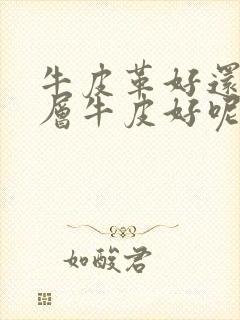 牛皮革好还是头层牛皮好呢