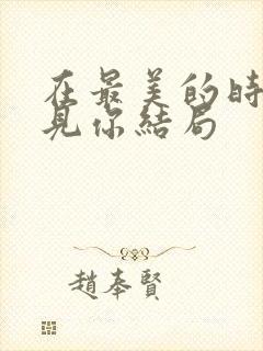 在最美的时候遇见你结局封面