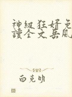 神级狂婿免费阅读全文岳风