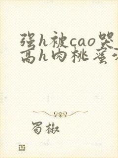 强h被cao哭高h肉桃蜜汁