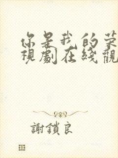 你是我的荣耀电视剧在线观看完整版免费