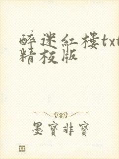 醉迷红楼txt精校版封面