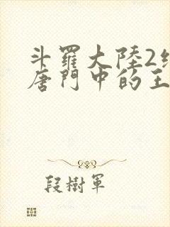 斗罗大陆2绝世唐门中的王冬