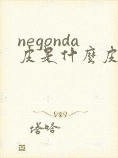 negonda皮是什么皮