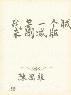 我是一个贼高清未删减版