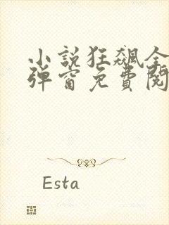 小说狂飙全文无弹窗免费阅读