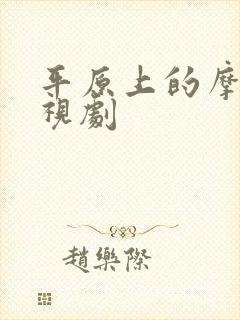 平原上的摩西电视剧封面