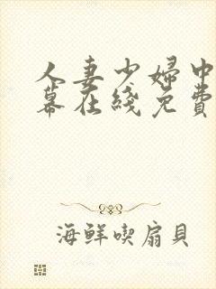 人妻少妇中文字幕在线免费观看