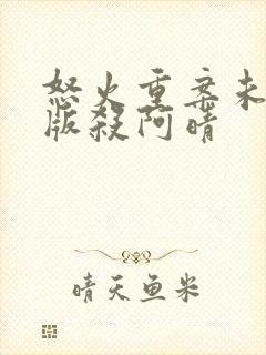 怒火重案未删减版杀阿晴封面