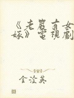 《老严有女不愁嫁》电视剧