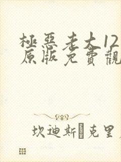 极恶老大12集原版免费观看封面