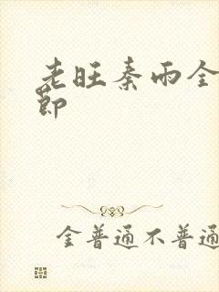 老旺秦雨全部章节