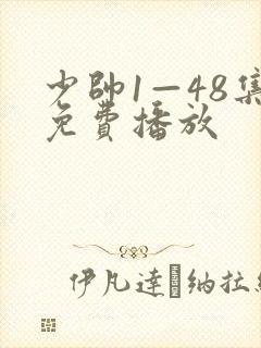 少帅1—48集免费播放