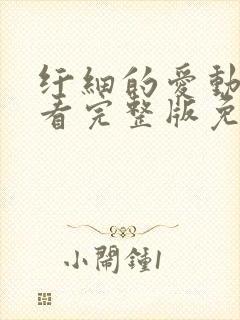 纤细的爱动漫观看完整版免费观看