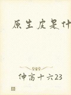 原生皮是什么皮