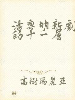 潘粤明新剧消失的十一层