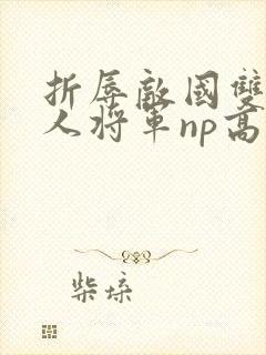 折辱敌国双性美人将军np高h