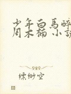 少年白马醉春风周木楠 小说
