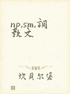 np,sm,调教文