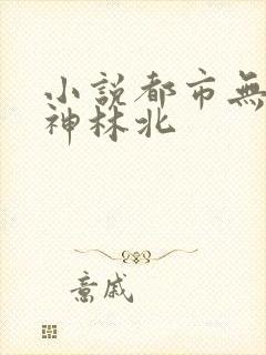 小说都市无敌战神林北