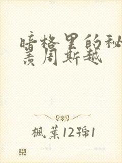 暗格里的秘密丁羡周斯越