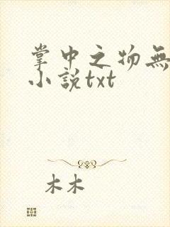 掌中之物无删减小说txt