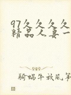 97久久久久久精品人妻一区