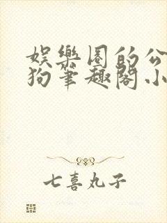 娱乐圈的公用母狗笔趣阁小说