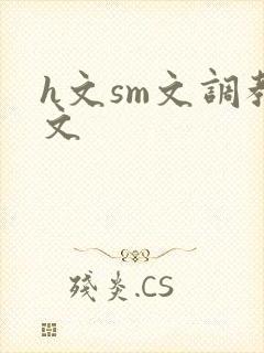 h文sm文调教文封面